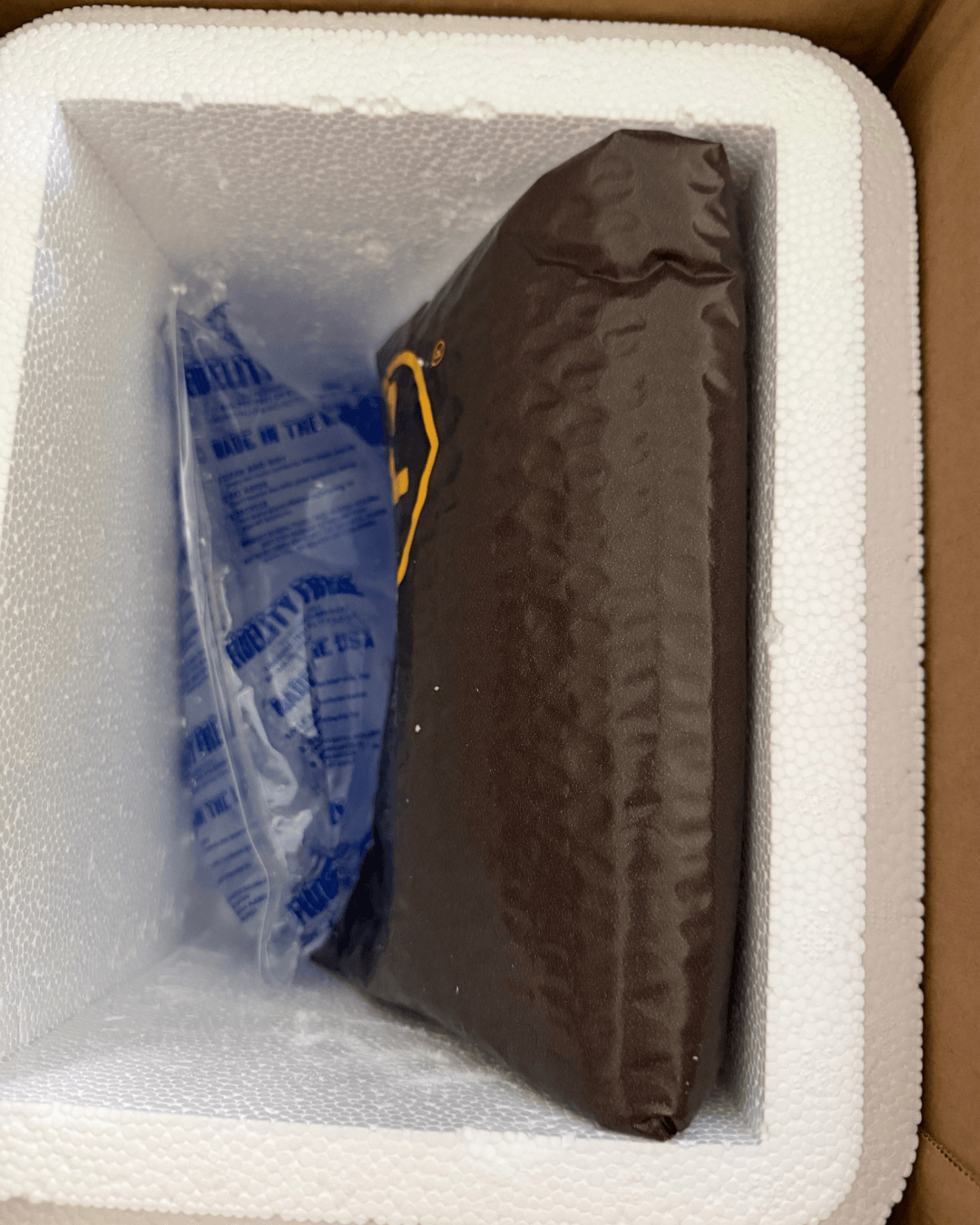 Open ProPak foam cooler inside the Belle shipper with a Fidelity Freeze gel pack and a brown padded envelope holding the medication