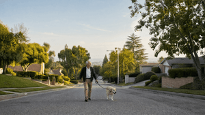 man in his late 60s walking his dog