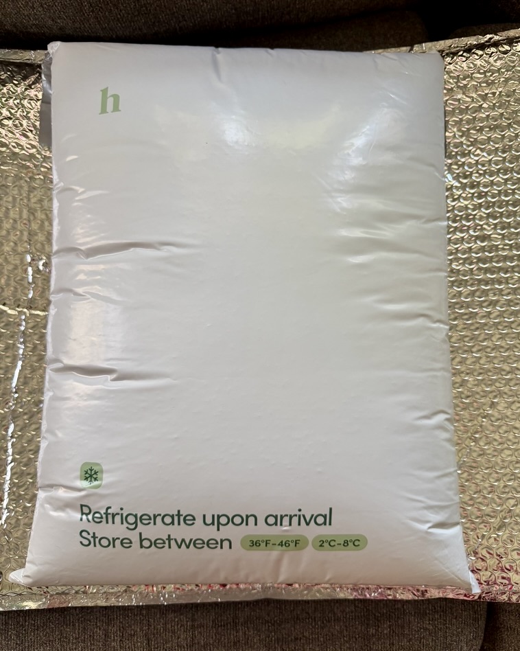 Hers branded gel ice pack still frozen on arrival with the Wegovy pens
