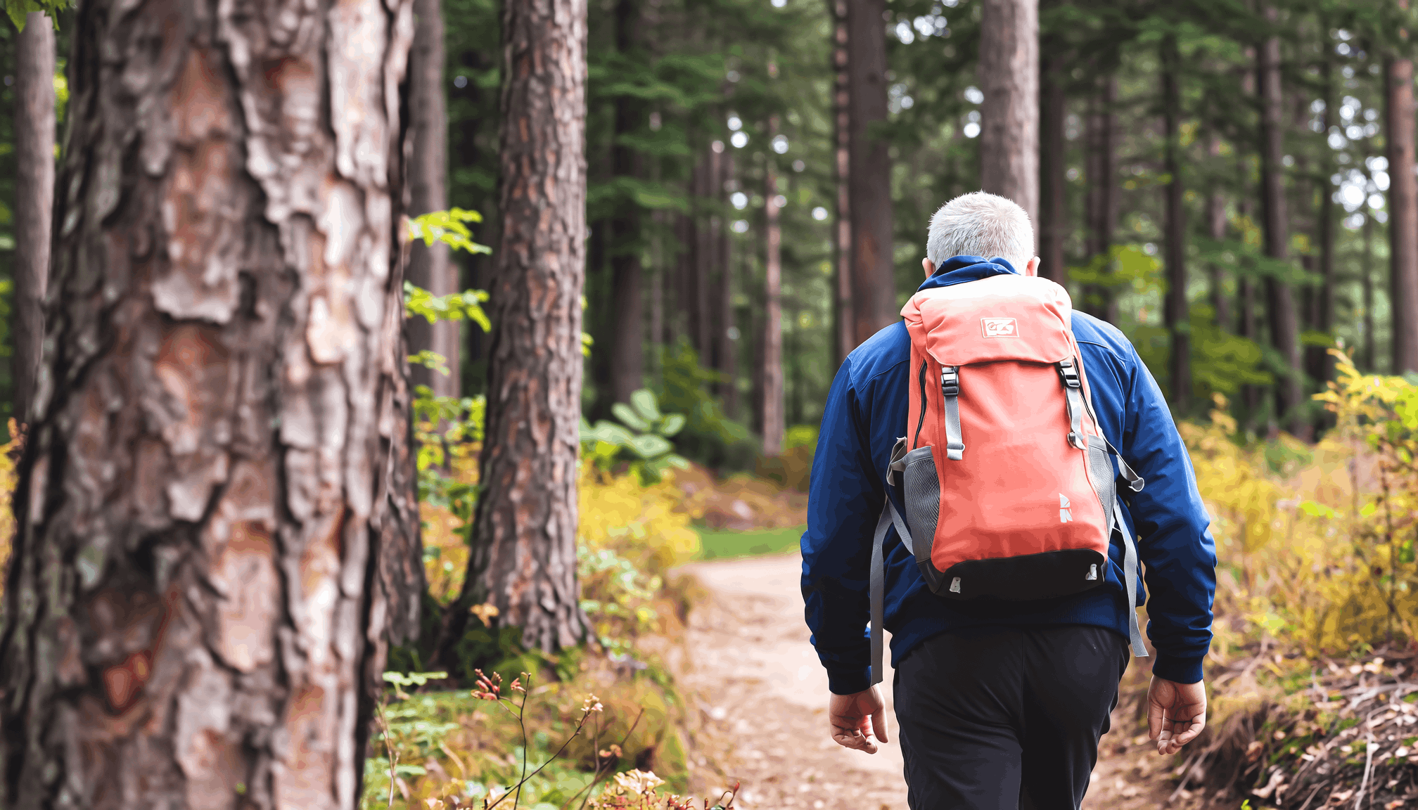 man-hiking-on-path.png