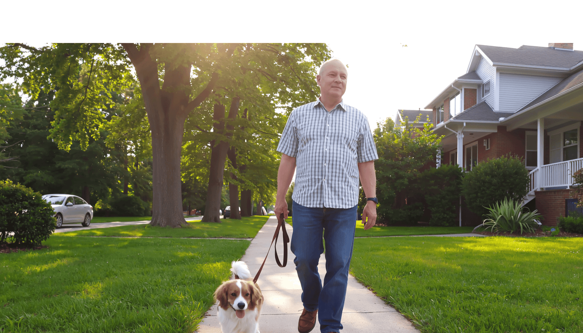 man-walking-dog-at-neighborhood.png