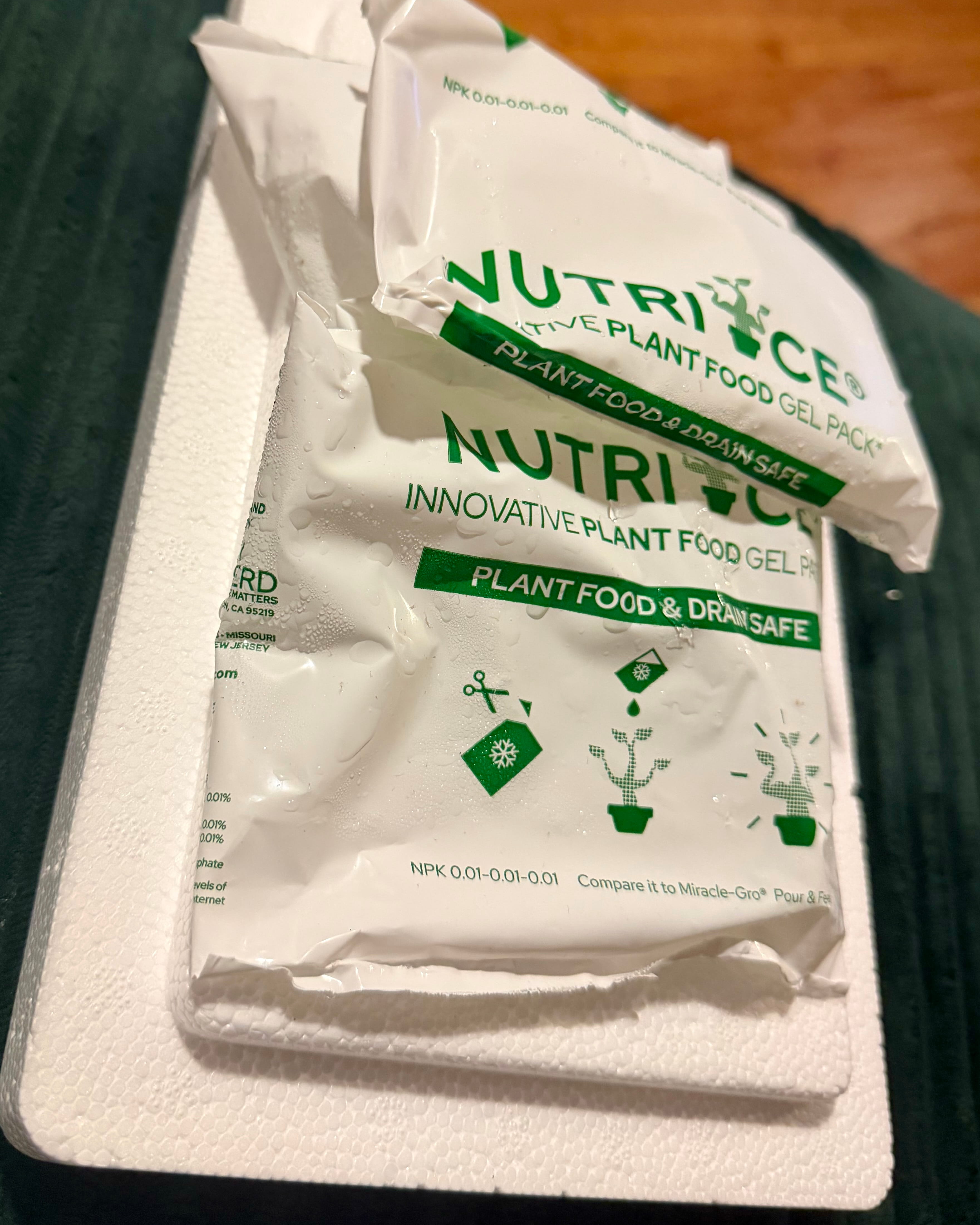 Two Nutri-Ice gel packs wet with condensation resting on the styrofoam cooler lid from the MEDVi order