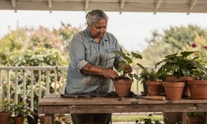 woman-repotting-plants.jpg